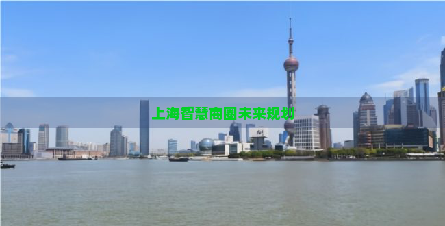 上海智慧商圈未来规划