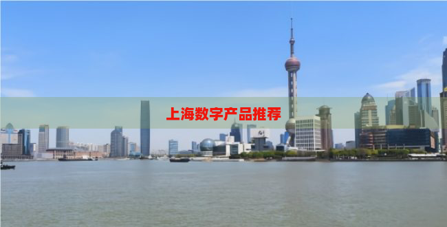 上海数字产品推荐