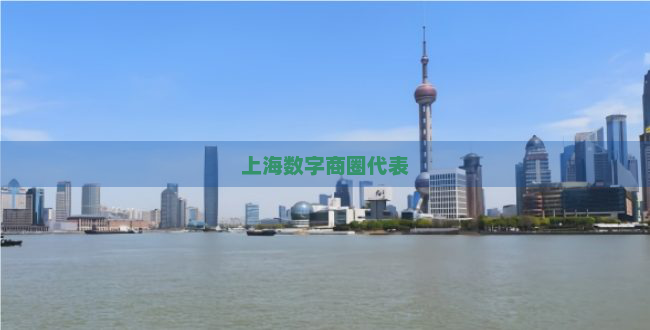 上海数字商圈代表